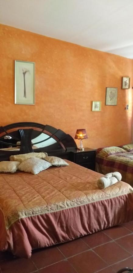 Portal De Los Farolitos Concepción de Ataco Dış mekan fotoğraf